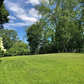 yard work by True lawn reviewed on August 15, 2025