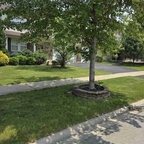 yard work by BNK Home Improvements & Landscaping LLC reviewed on August 19, 2025