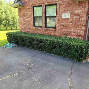 Bush Trimming by D &amp; M Lawn Care reviewed on July 4, 2026