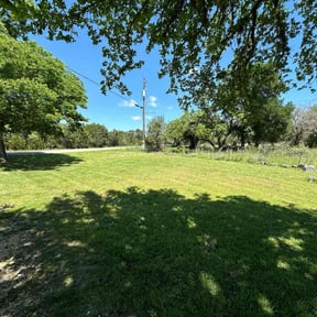 landscaping by Love Lawn care reviewed on August 16, 2025