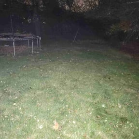 Leaf Removal by All around solutions reviewed on August 3, 2026