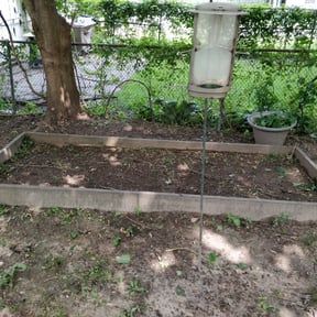 Flower Bed Weeding by GoGreen inc reviewed on August 17, 2025