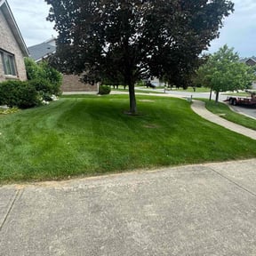 Bush Trimming by Forever Green FG LLC reviewed on October 23, 2024