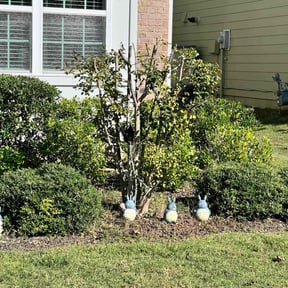 Bush Trimming by Ryan&#039;s Neighborhood Lawn Service reviewed on October 20, 2025