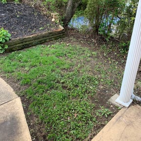 Leaf Removal by Perfect Lawn Care and Seal Coating reviewed on September 17, 2025