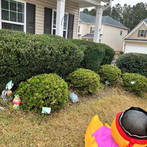 Bush Trimming by AC LAWNCARE reviewed on November 7, 2025