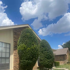 Bush Trimming by Jerrel's Handyman &amp; Lawn Service LLC reviewed on November 24, 2025