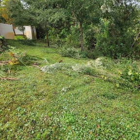 Bush Trimming by Caver Lawn Care reviewed on August 18, 2025