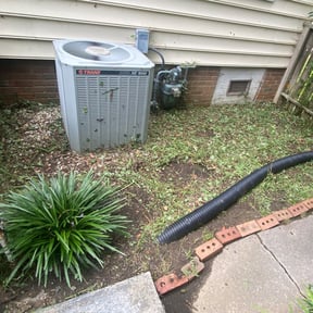 Bush Trimming by BLACK HORSE reviewed on November 19, 2025