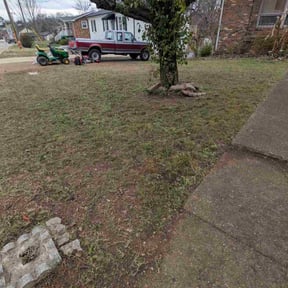 Leaf Removal by Can’t Stop Won’t Stop Lawn Care reviewed on July 9, 2026
