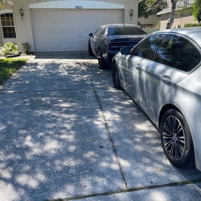 Leaf Removal by Best kept lawn  care reviewed on September 10, 2025