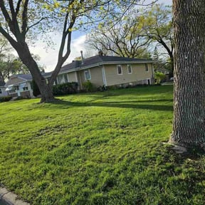 residential landscaping by XENA Horticulture reviewed on November 23, 2025