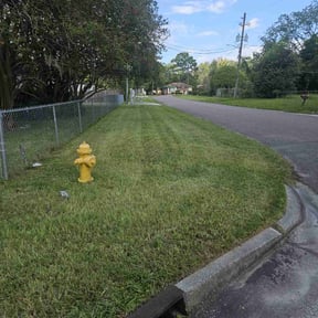 lawn care services by Yard Solutions reviewed on October 27, 2021