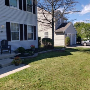 Bush Trimming by Cay Property Management reviewed on August 16, 2025