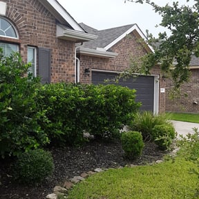 Flower Bed Weeding by Zunigas Green Care LLC reviewed on August 13, 2025