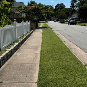 landscape maintenance by Sal's Landscape &amp; Tree Service reviewed on November 9, 2017