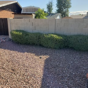 Bush Trimming by A&amp;O reviewed on August 20, 2025