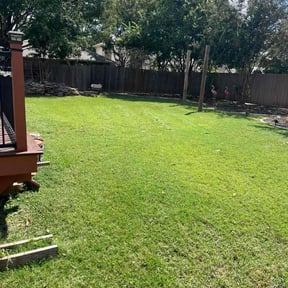 yard care by Joel Kelly reviewed on August 20, 2025