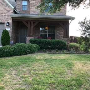 Bush Trimming by Heavenly Landscapes reviewed on March 19, 2024