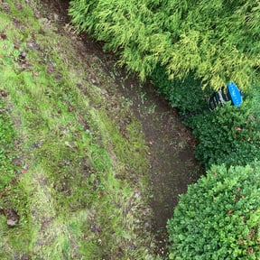 Leaf Removal by Graves Lawns and Landscaping LLC reviewed on September 20, 2025