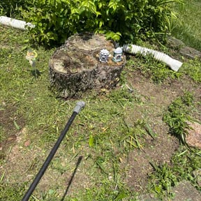 Flower Bed Weeding by Pro grow landscapeing reviewed on June 4, 2026