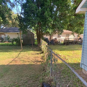 Bush Trimming by PICKNEY FULL SERVICE reviewed on August 15, 2025