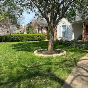 yard service by Easy Way Services reviewed on August 16, 2025