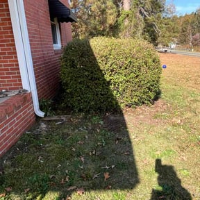 Bush Trimming by The Generals Lawncare reviewed on November 19, 2025