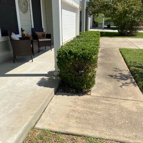Bush Trimming by Jus Biznizz Landscaping LLC reviewed on November 21, 2025