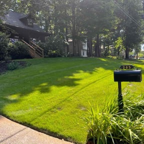 turf care by Persevere Complete Lawn Care reviewed on August 19, 2025