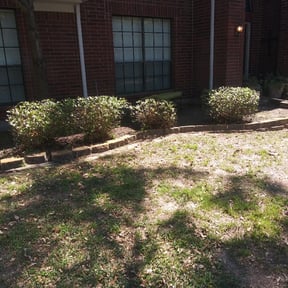 Bush Trimming by Maintenance Unlimited reviewed on August 15, 2025