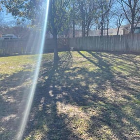 Leaf Removal by Harrison Thomas LLC reviewed on June 22, 2025