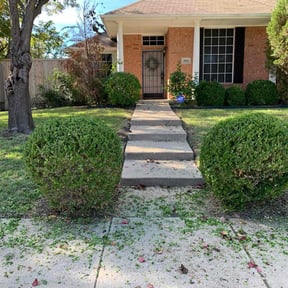 Bush Trimming by Prizel Lawn Care reviewed on August 19, 2025