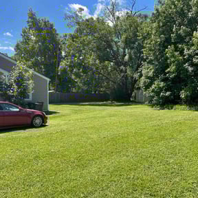 yard maintenance by Tim's Trim's reviewed on August 15, 2025