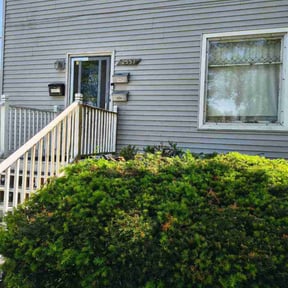 Bush Trimming by Greg's Landscaping reviewed on July 23, 2026