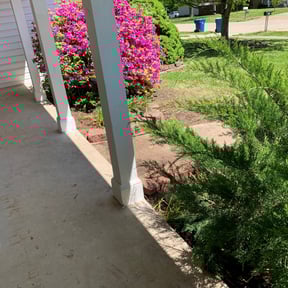 Leaf Removal by Cut With Craft reviewed on October 3, 2025