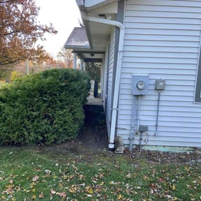 Bush Trimming by Andrew James Property Maintenance reviewed on November 21, 2025