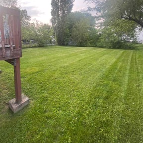 yard care by Multiple Tasks  reviewed on December 31, 2025