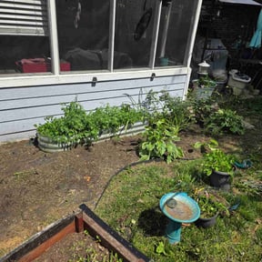 Mulching by Little Landscaping reviewed on June 8, 2026