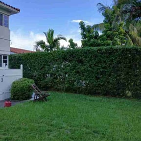 Bush Trimming by McNeals One Touch reviewed on October 18, 2025