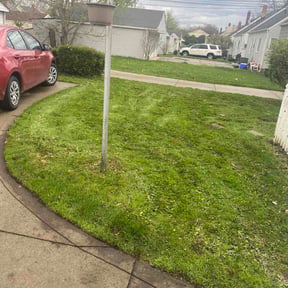 Leaf Removal by Discount Mowing reviewed on May 7, 2026