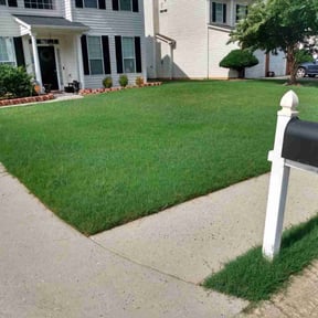 landscape maintenance by Wash's landscaping reviewed on November 20, 2025