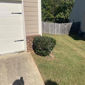 Bush Trimming by Multi Purpose Lawncare reviewed on March 26, 2026