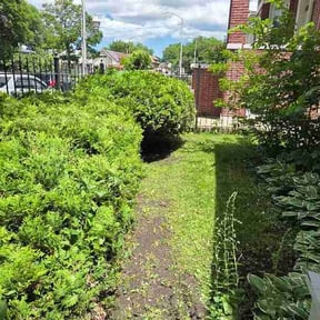 Bush Trimming by LYJO Enterprise LLC reviewed on June 24, 2026
