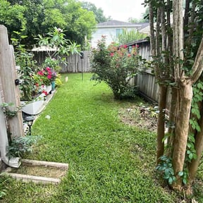 yard service by Green Hands Landscaping reviewed on August 15, 2025