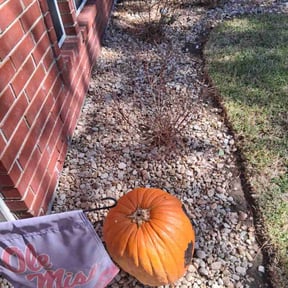 Flower Bed Weeding by K.M.W. Lawn Services &amp; Logistics LLC reviewed on March 3, 2024