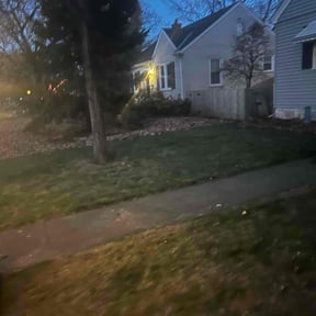 Leaf Removal by Integrity Landscaping LLC reviewed on November 19, 2025