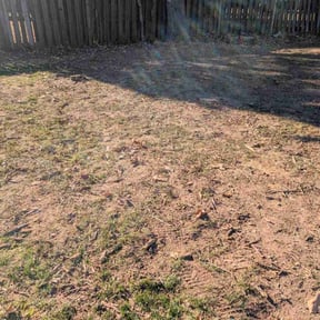 Leaf Removal by R &amp; R Lawn Care Services LLC reviewed on December 17, 2025