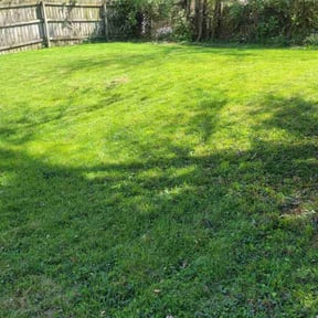 yard service by Cutter's  reviewed on December 2, 2025