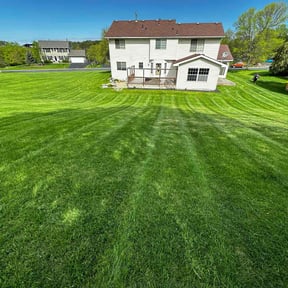 gardening service by Aunders Land Services reviewed on August 15, 2025